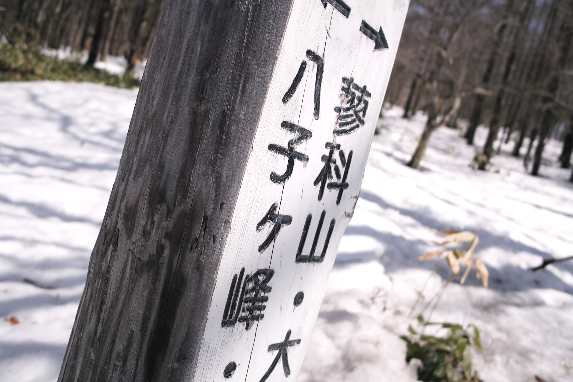 2011年4月16日　蓼科山登山と諏訪大社