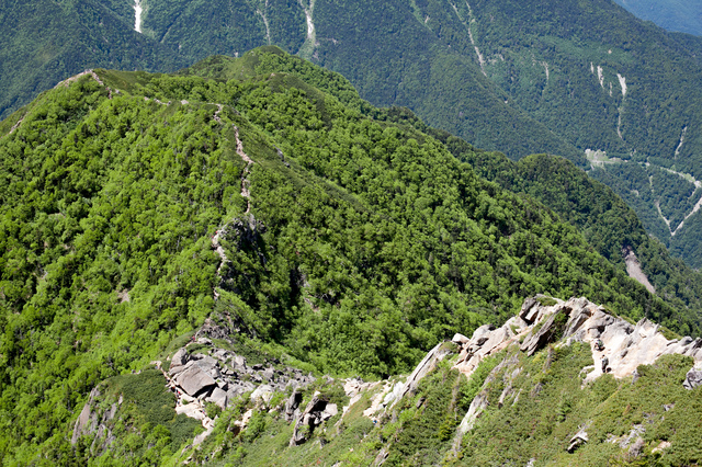 進んできたルート