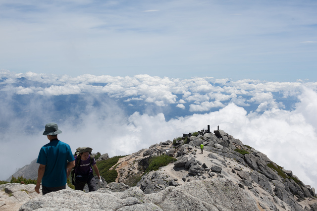 山頂からの景色